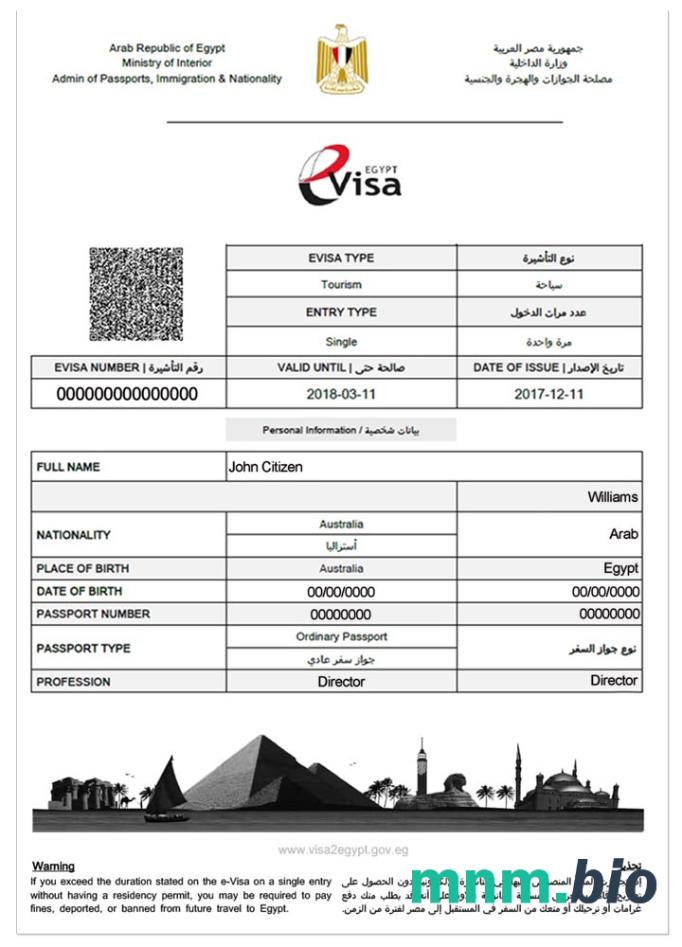 E-visa do Egiptu w pełni edytowalna PSD